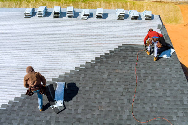 Best Roof Ventilation Installation  in Meraux, LA